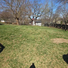Cleanups by Bro J's LawnCare &amp; Landscaping reviewed on November 1, 2024