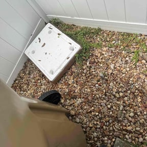 Leaf Removal by Isaiah's Custom Cutz reviewed on April 26, 2022