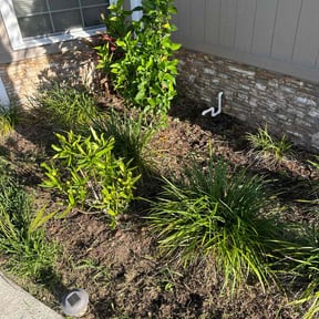 Flower Bed Weeding by Kandascapes reviewed on May 10, 2022