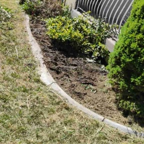 Flower Bed Weeding by Medlyn Services L.L.C reviewed on October 13, 2021