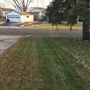 Cleanups by Nicks tree removal reviewed on October 28, 2024