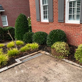 Bush Trimming by MPV Landscaping reviewed on May 18, 2022