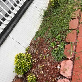 Bush Trimming by Deangelo's Lawn Care reviewed on August 14, 2024
