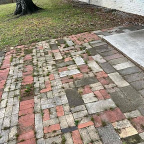 Cleanups by Aguilar Landscaping & Tree Services LLC reviewed on May 5, 2022