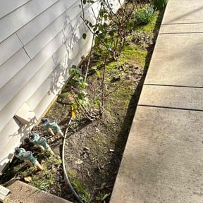 Flower Bed Weeding by Rodriguez Gardening reviewed on April 3, 2025