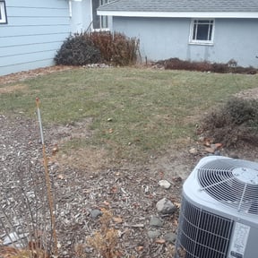 Leaf Removal by Jeremy Faulk LLC reviewed on July 27, 2022