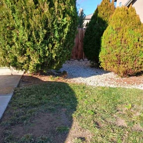 Bush Trimming by All Electric Landscaping reviewed on May 17, 2025