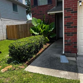 Bush Trimming by Triple &quot;s&quot; services reviewed on August 1, 2025