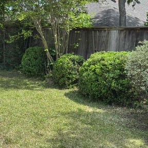 Bush Trimming by Active Property Care reviewed on July 11, 2022