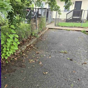 Leaf Removal by Price's Rite lawn care reviewed on July 9, 2022