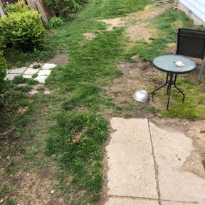 Cleanups by JT lawn care grass guys reviewed on April 28, 2025