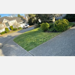 Leaf Removal by Cuyahoga Property Maintenance LLC reviewed on May 19, 2022