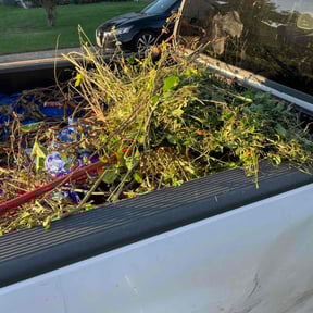 Weeding by Miramontes Landscaping reviewed on November 9, 2017