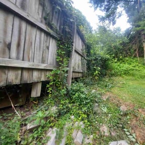 Bush Trimming by DeGore Landscaping reviewed on July 3, 2024