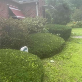 Bush Trimming by Signature Lawn Care LLC. reviewed on April 28, 2022