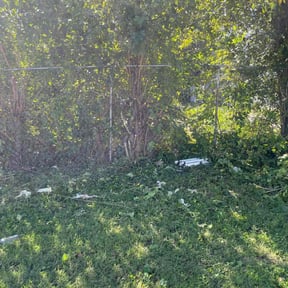 Cleanups by Greener Grass Cutting reviewed on June 12, 2022