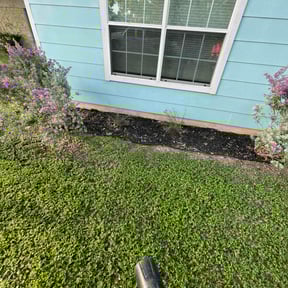 Flower Bed Weeding by Elite Lawn care reviewed on August 23, 2021