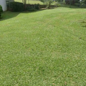 Weeding by BJ's & Family Lawncare reviewed on May 28, 2025