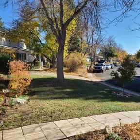 Leaf Removal by Nicks Lawn Care reviewed on June 29, 2025