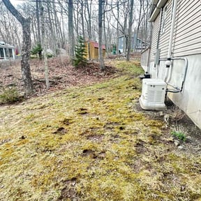 Leaf Removal by Hoot PM Inc reviewed on March 23, 2022