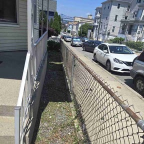 Cleanups by Jernie Lawn Care reviewed on July 11, 2022