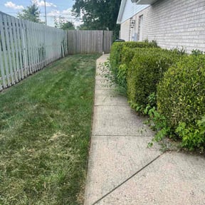 Cleanups by We do it better reviewed on July 3, 2025