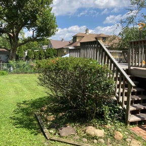 Bush Trimming by RTH Lawn Service & Landscaping LLC reviewed on July 27, 2021