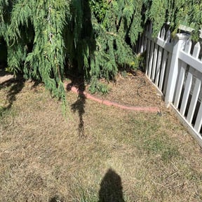 Weeding by Big D's reviewed on August 23, 2024