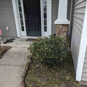 Bush Trimming by Spring lawn care reviewed on May 20, 2022