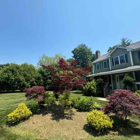 Flower Bed Weeding by Magnus Lawn Maintenance reviewed on October 30, 2022