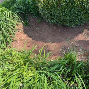 Flower Bed Weeding by Ryan's Mowing LLC reviewed on May 31, 2022