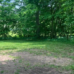 Leaf Removal by Hardison Lawn Care reviewed on June 16, 2022