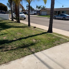 Cleanups by The Lawn Barber reviewed on May 23, 2025