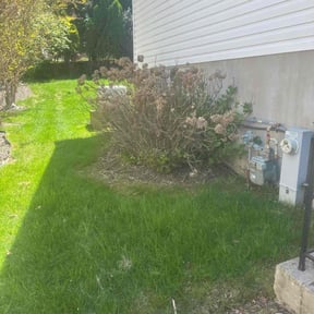 Bush Trimming by Dan's Lawn & Landscaping reviewed on October 28, 2024