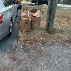 Leaf Removal by JDS Cut N Edge landscaping llc reviewed on May 5, 2022