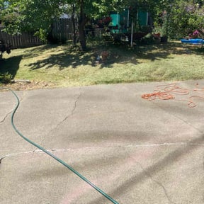 Bush Trimming by Christian Brothers Maintenance reviewed on June 19, 2025