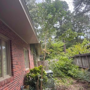 Cleanups by Lawn Til Dawn Services reviewed on August 1, 2024