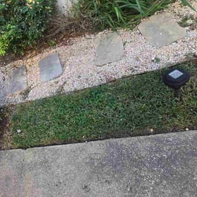 Flower Bed Weeding by A&T Mobile Detailing and Home Renovation reviewed on April 11, 2025