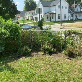 Cleanups by The Manicured Lawn LLC reviewed on August 12, 2024
