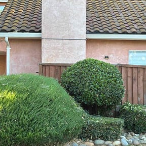 Bush Trimming by Lawn Me Up Landscape reviewed on April 8, 2022