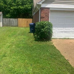 Bush Trimming by K&G Lawn and Garden Services reviewed on October 5, 2024