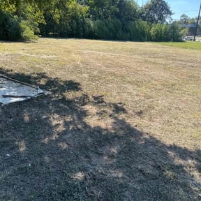 Cleanups by My Family Lawn Care reviewed on June 1, 2022