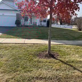 Leaf Removal by Valenciano Lawn Services LLC reviewed on August 1, 2025