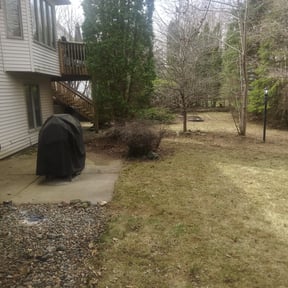 Leaf Removal by Big Red Landscaping LLC reviewed on July 17, 2022