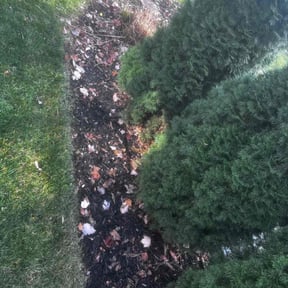 Flower Bed Weeding by YardGoat Mowing reviewed on May 7, 2022