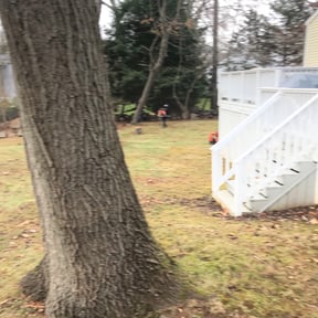 Cleanups by Phelps Lawn Care reviewed on July 6, 2022