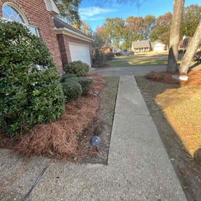 Mulching by Gammage lawn care reviewed on April 8, 2025