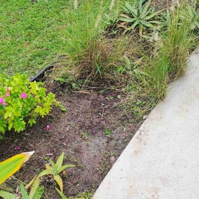 Flower Bed Weeding by Boomershine Family Services reviewed on April 8, 2022