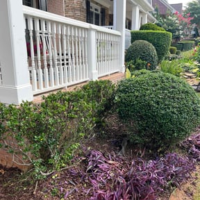 Bush Trimming by Gauer landscaping llc reviewed on November 18, 2022