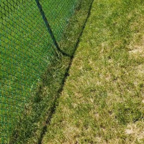 Flower Bed Weeding by Cutz and Dumpz reviewed on July 29, 2021
